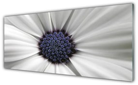 Tablouri acrilice Flower Floral Alb Gri Violet