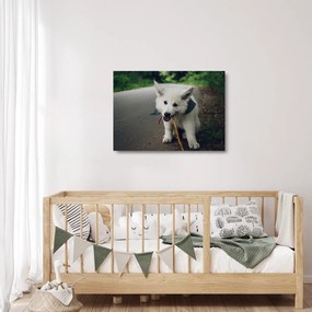 Tablou pe sticlă cu câinele alb (70x50 cm)