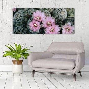 Tablou floare de cactus (120x50 cm), în 40 de alte dimensiuni noi