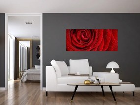 Tablou - detaliu de trandafir (120x50 cm)