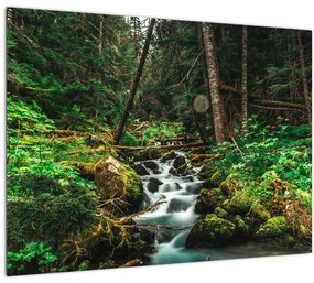 Tablou cu pârău în pădure (70x50 cm), în 40 de alte dimensiuni noi
