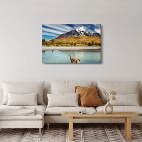 Tablou - Parcul Național Torres del Paine (90x60 cm)