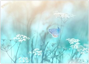 Tablou - Fluture în albastru (70x50 cm)