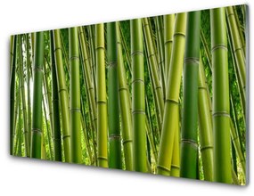 Tablouri acrilice Bamboo Tulpini Floral Verde