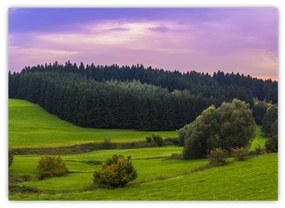Tablou cu lunca (70x50 cm)