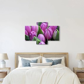 Tablou - florile lalelelor (90x60 cm)