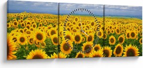 Tablou cu lan de floarea soarelui (cu ceas) (90x30 cm)