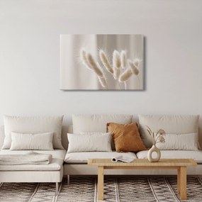 Tablou - Cozi de iepure (90x60 cm)