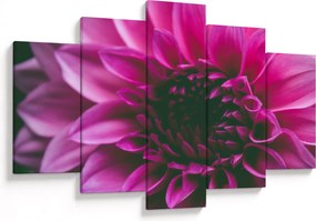 Tablou cu floarea roz (150x105 cm)