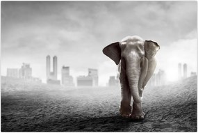 Tablou - Elefanți în oraș, versiunea alb-negru (90x60 cm)