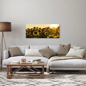 Tablou cu lan de floarea soarelui (120x50 cm)