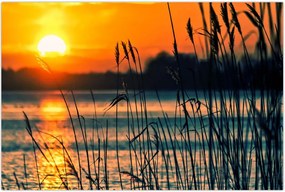 Tablou - Apus de soare la lac (90x60 cm)