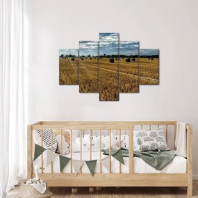 Tablou cu câmp recoltat (150x105 cm)