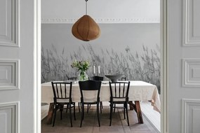 Fototapet, Reed Meadow, Gray, Rebel Walls