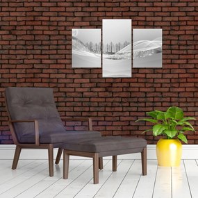 Tablou - Peisaj argintiu (90x60 cm)