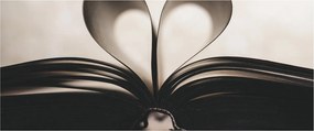 Tablou cu carte (120x50 cm)