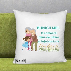Cadou pentru Bunici - Perna Personalizata Bunicii Mei Comoara Iubire Intelepciune Nepoata, 40x40 cm, Alb Pufos, Husa Detasabila, Perna Inclusa, BEKZ®