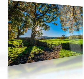 Tablou pe sticlă Privire la câmp (70x50 cm)