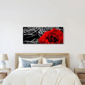 Tablou - Flori de trandafir (120x50 cm)