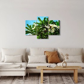 Tablou - Plumeria (90x60 cm)