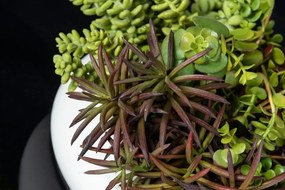 Aranjament floral mic decor festiv design LUX FAT PLANT MIX