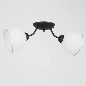 Plafonieră AVIA 2xE27/60W/230V