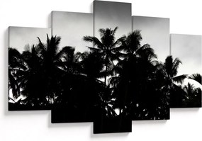 Tablou alb negru - palmieri (150x105 cm)