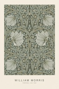 Reproducere Pimpernel (Special Edition Classic Vintage Pattern) - William Morris, (26.7 x 40 cm)