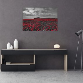 Tablou cu maci (90x60 cm)