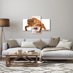 Tablou cu șopârlă (90x60 cm)