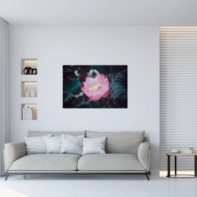Tablou cu floare roz (90x60 cm)