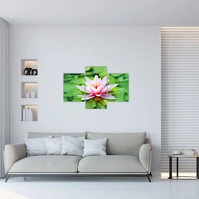 Tablou - Nuferi pe apă (90x60 cm)