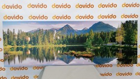 Tablou panoramă inedită a munților lângă lac