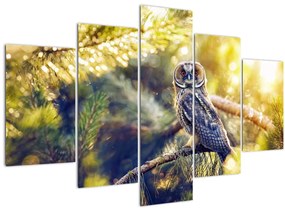 Tablou - Bufniță în copac (150x105 cm)