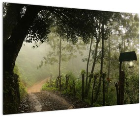 Tablou cu ceața de dimineața (90x60 cm)
