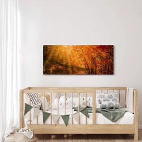Tablou cu pădurea în toamnă (120x50 cm)