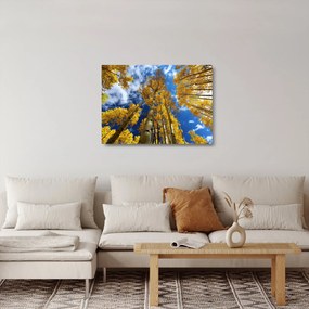 Tablou pe sticlă - Aspen (70x50 cm)