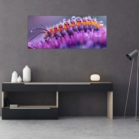 Tablou - Caterpillar (120x50 cm)