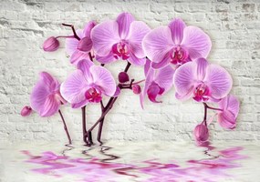 Fototapet 3D, Orhidee roz de marmura pe fundal alb de perete Art.05008