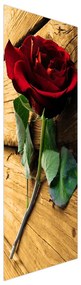 Fotojaluzele R013403R57150 (57x150 cm)