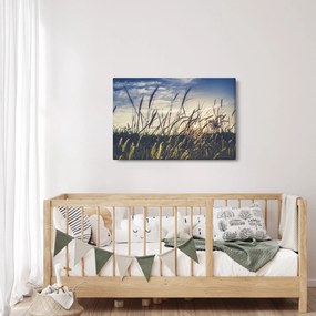 Tablou cu flori de câmp (90x60 cm)