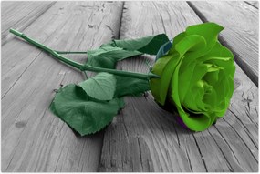 Tablou - Trandafir verde (90x60 cm)