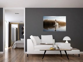 Tablou cu lebăda (90x60 cm)