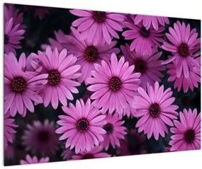 Tablou cu florile roz (90x60 cm)