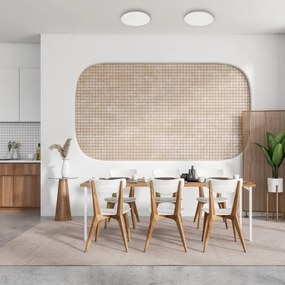 Plafonier LED dimabil ALLISTER 36W 230V 3000-6000K cu telecomandă