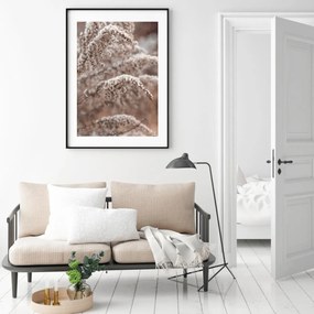 Poster - Florile plantei (A4)