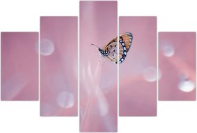 Tablou - Fluturele (150x105 cm)