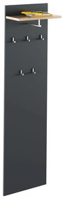 Panou cu cuier RIOMA TIP 19, grafit/stejar artisan