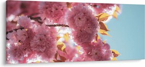 Tablou - Floare de cireș (120x50 cm)