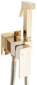 Baterie bideu Fenix Gold